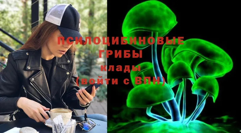 Псилоцибиновые грибы Psilocybe  shop как зайти  Пудож 